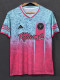24/25 Inter Miami Pink Blue Special Edition Fans Soccer Jersey