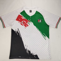 24/25 Palestine White Pattern version Fans Soccer Jersey