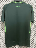 24/25 Algeria Away Fans Soccer Jersey(With stars)\(带两星）