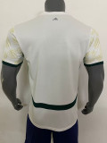 24/25 Ivory Coast Away Fans Soccer Jersey