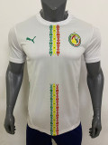 24/25 Senegal Home Fans Soccer Jersey