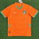24/25 Ivory Coast Home  Fans Soccer Jersey