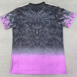 25/26 LIV Purple Eagle's head  Fans Training Shirts 紫色鹰