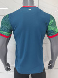 25/26  Portugal Green  Training shirts