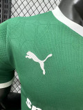 25/26  Palmeiras Home  Player Version Soccer Jersey