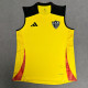 2025 Mineiro Yellow vest  Training shirts