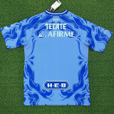 25/26 Tigres Away Fans Soccer Jersey