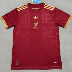 25/26 Mexico Concept Edition Maroon  Fans Soccer Jersey