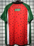 25/26 Palestino Deportivo Watermelon Commemorative Edition Fans Soccer Jersey