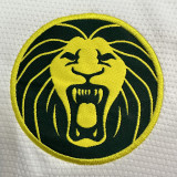 25/26 Cameroon Third Fans Soccer Jersey