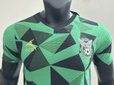 25/26  AEK FC Green   Player Version Soccer Jersey