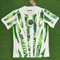 25/26 Nigeria Home  Fans Soccer Jersey