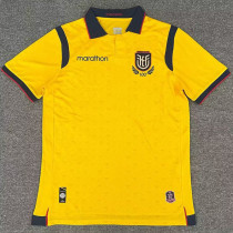 25/26 Ecuador Yellow Fans Soccer Jersey
