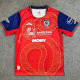 25/26 Cagliari Year of the Snake Commemorative Edition Fans Soccer Jersey