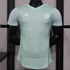 25/26 Algeria Stripe Light Green  Player Version Soccer Jersey