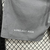 2025 3301 Grey Casual shorts