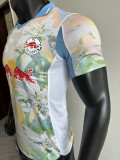 25/26 RB Salzburg Away  Player Version Soccer Jersey (萨尔茨堡红牛)
