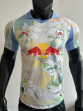 25/26 RB Salzburg Away  Player Version Soccer Jersey (萨尔茨堡红牛)