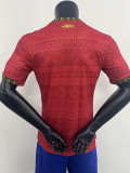 25/26 Brazil  Special Edition Jordan Red Player Version Soccer Jersey