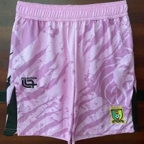 25/26 BAR Pink Shorts Pants