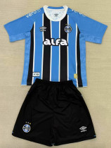 25/26 Gremio Home Fans Soccer Jersey