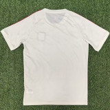 25/26 Lyon  White  T-shirt