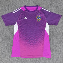 25/26 LA Galaxy Goalkeeper Purple Fans Soccer Jersey