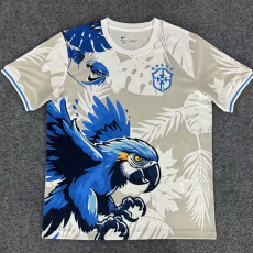 25/26 Brazil Eagle Special Edition  Fans Soccer Jersey