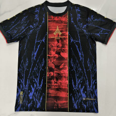 25/26 PSG Champion Edition Royal Blue  Fans Soccer Jersey