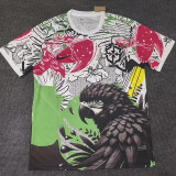 25/26 Brazil Parrot Black  Fans Soccer Jersey