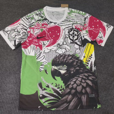 25/26 Brazil Parrot Black  Fans Soccer Jersey