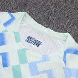 25/26  INT Away Player Version Soccer Jersey& Grey  pants
