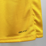 22/23 LAKERS AYTON#5 Yellow Top Quality Hot Pressing NBA Jersey(圆领）