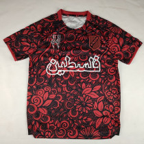 25/26 Palestino Deportivo Black & Maroon Fans Soccer Jersey