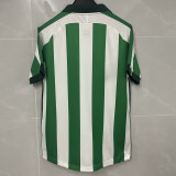 25/26 Esporte Clube Juventude Home Fand Soccer Jersey