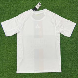25/26  Lyon Home  Fans  Soccer Jersey