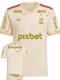 25/26 Flamengo Third Fans Soccer Jersey(Print all sponsors)全广告