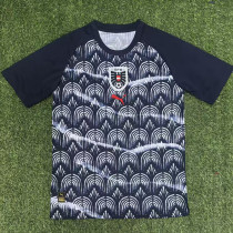 25/26 Austria Training shirts