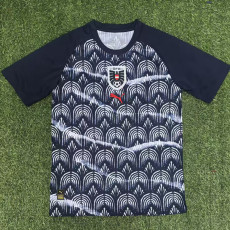 25/26 Austria Training shirts