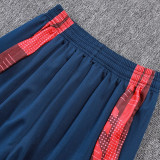 25/26 Lyon Away  Player Version  Soccer Jersey&Royal Blue pants