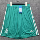 25/26 LIV Green Shorts Pants