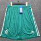 25/26 LIV Green Shorts Pants