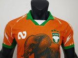 25/26 Ivory Coast Orange Special Edition Player Version Soccer Jersey
