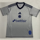 25/26 Cruzeiro Ｇoalkeeper Grey Fans Soccer Jersey