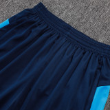 25/26 Grêmio Lake Blue Tank top and shorts suit#D25172