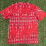 25/26Nottingham Special Edition Red Fans Soccer Jersey