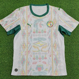 25/26 Senegal Home Player Version Soccer Jersey