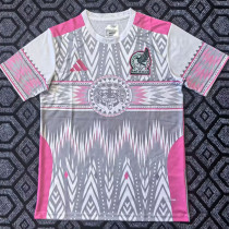 25/26 Mexico Grey&Pink Training Shirts