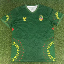 25/26 Mali Green Fans Soccer Jersey