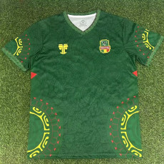 25/26 Mali Green Fans Soccer Jersey